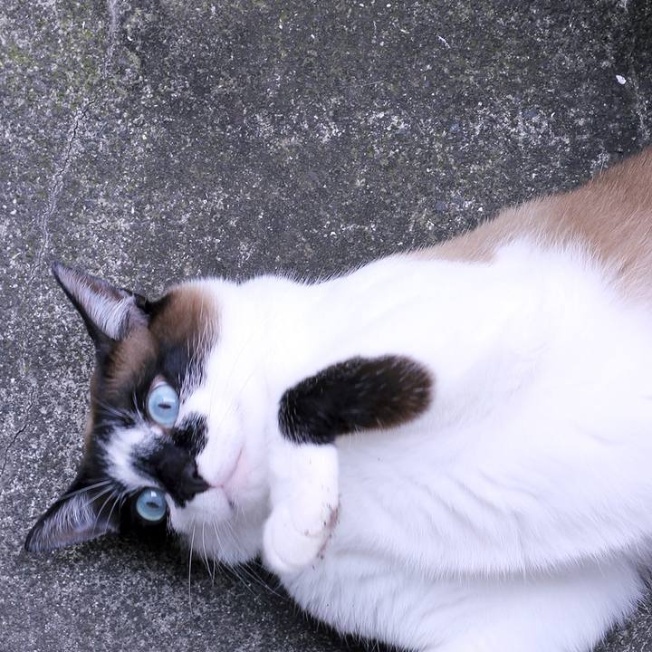 1d8b1f60 12c6 4b6b a8d2 a7596e6cab9c