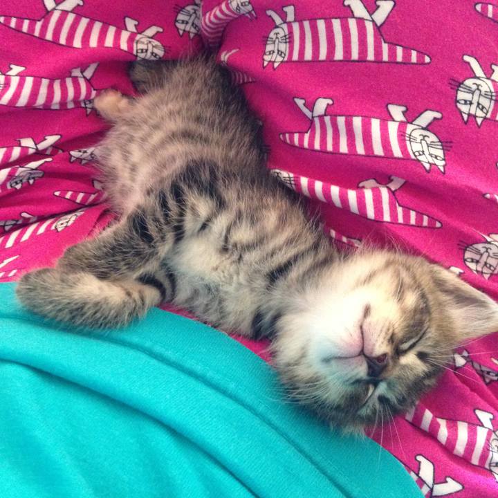 1d8c0f01 658f 4e96 aac2 fdb214ce4b48