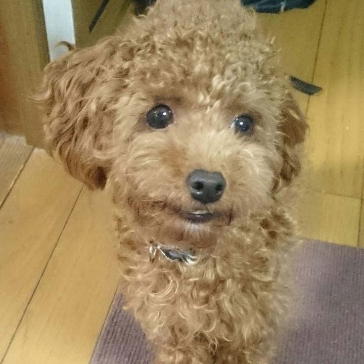 1d8c4c63 c93c 44dd b8a3 a4769a051c30