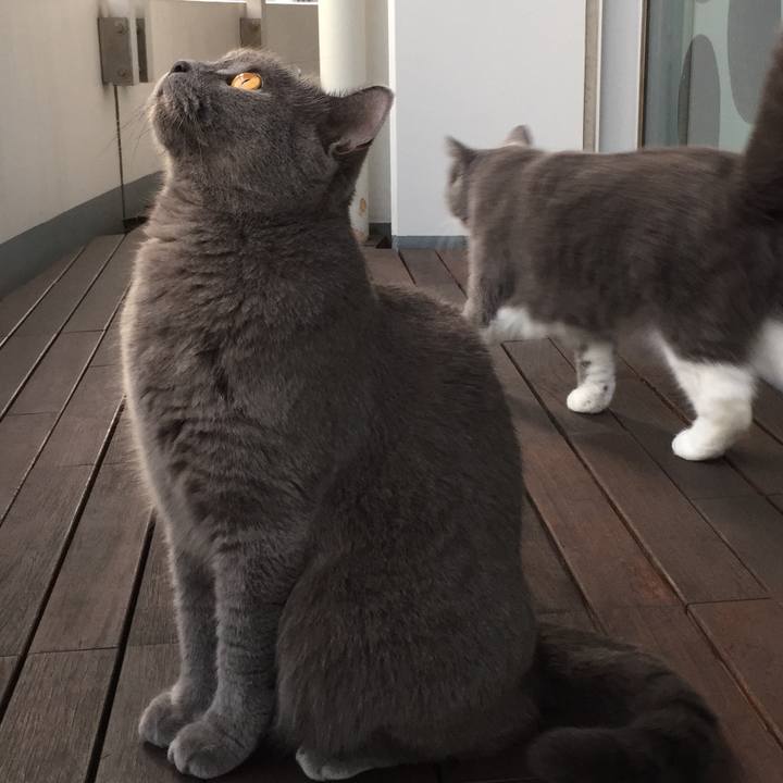 1d8cd07a f99d 44e2 82bc a26a8f80ef47