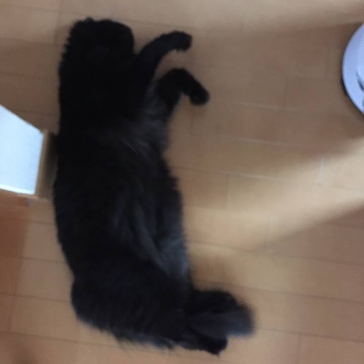 1d8db52d 3ccf 49cb be17 f1dd77142c07