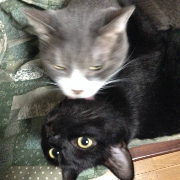 1d8dd04d ae13 4615 8f0d 36a3fbd05f7c