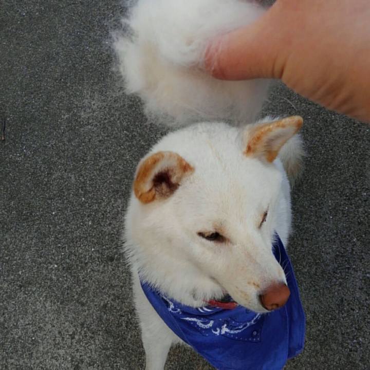 1d8df34d fb82 4564 9500 b8c2fc117515