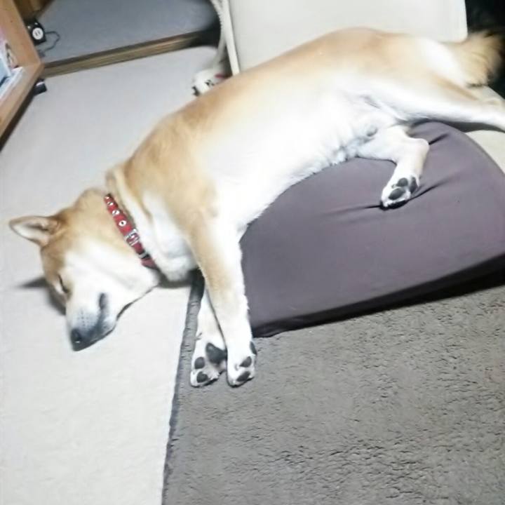 1d8e33c0 4213 4db8 b788 cbd464e6f86f