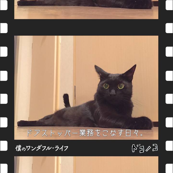 1d8eee23 0473 431a 916e 7dbf814cbcaa