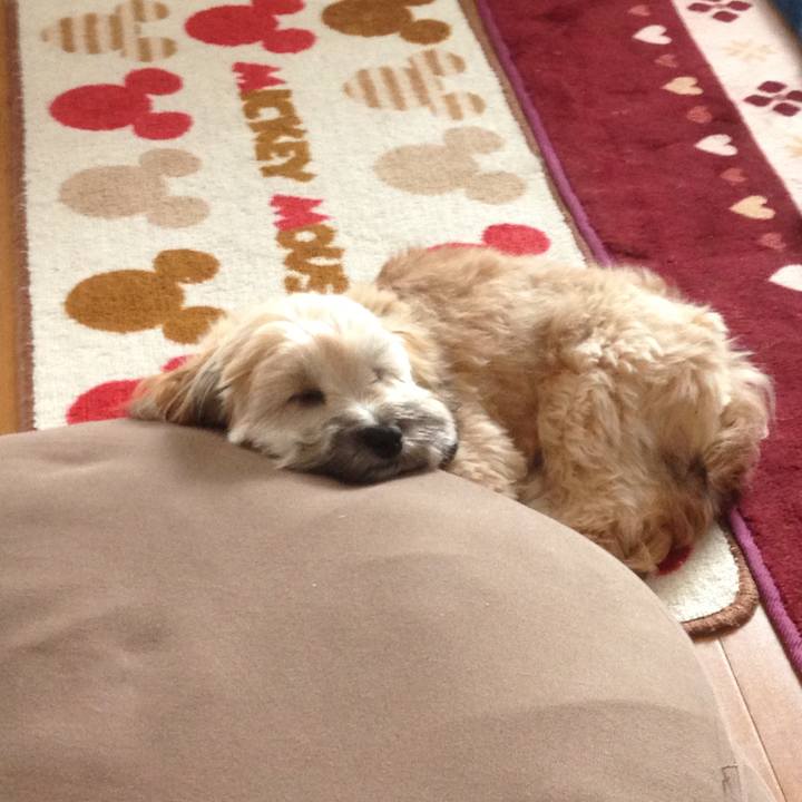 1d8ef950 7ed6 4899 bca3 c4b4fba77983