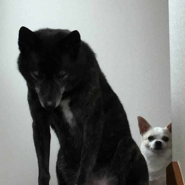 1d8f3069 2d1b 4a3a 9d43 b792deef9864