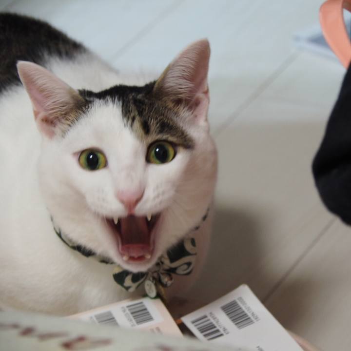 1d90280a 67c7 4bf5 b0cf 6bc19d1ec666