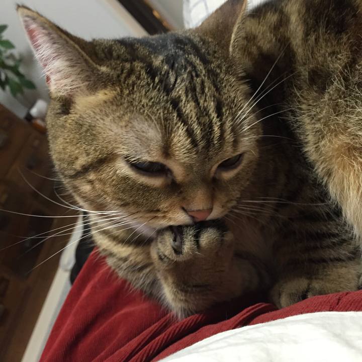 1d916fd1 8ce0 4fe0 afef a24d536b35be