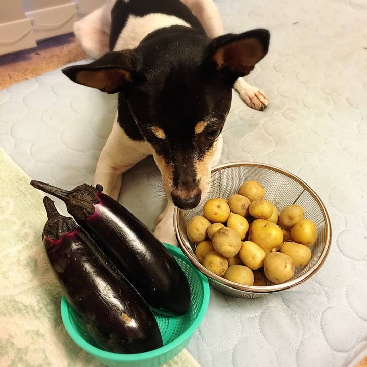 1d923084 3eb0 46f0 be5a 61cf098c875b