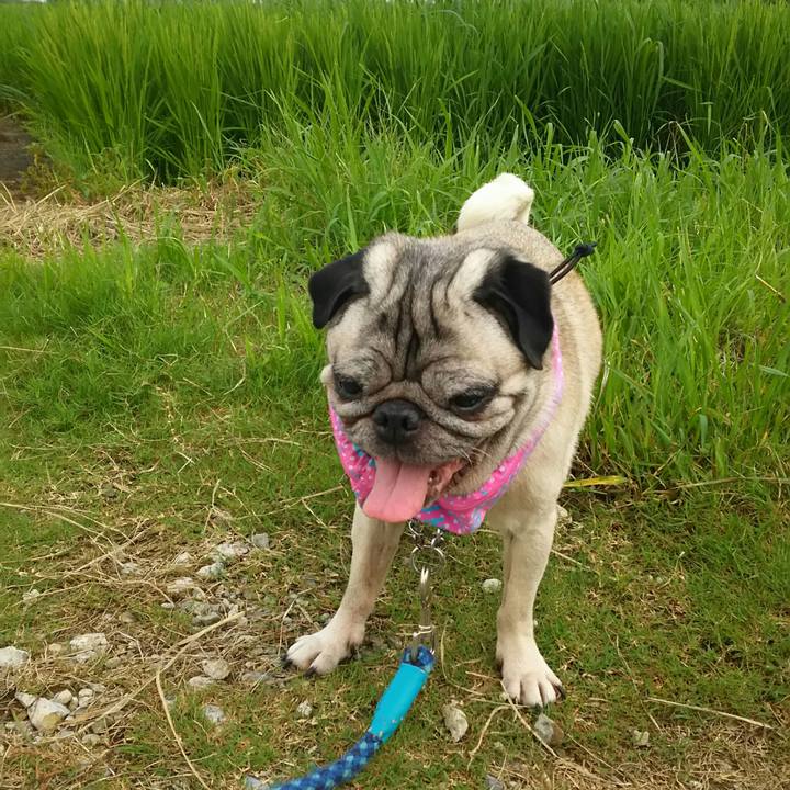 1d92539b 94cc 4e05 b999 f6cd150b8da7