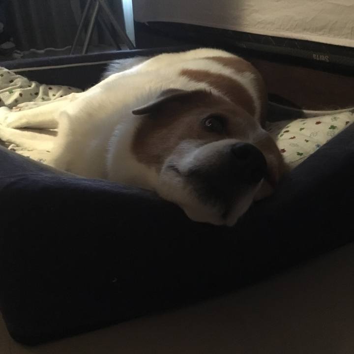 1d928da4 a09a 4bec b616 ed44cd18bd2a