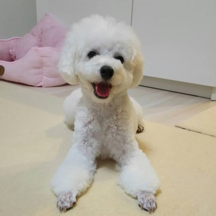 1d92da6c 5019 45e5 ac0c 3edd2f7fc8cf