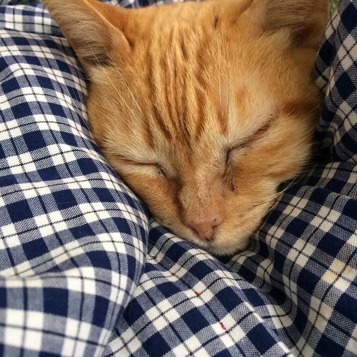 1d9334db bf76 4374 9d19 51d04de01ec5