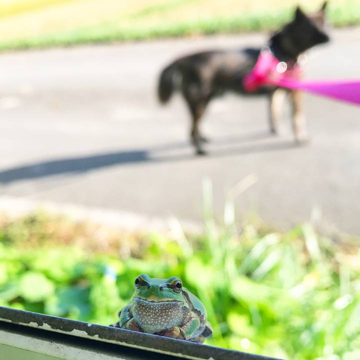 1d9383c1 921c 4945 9b6e bb3311f00610