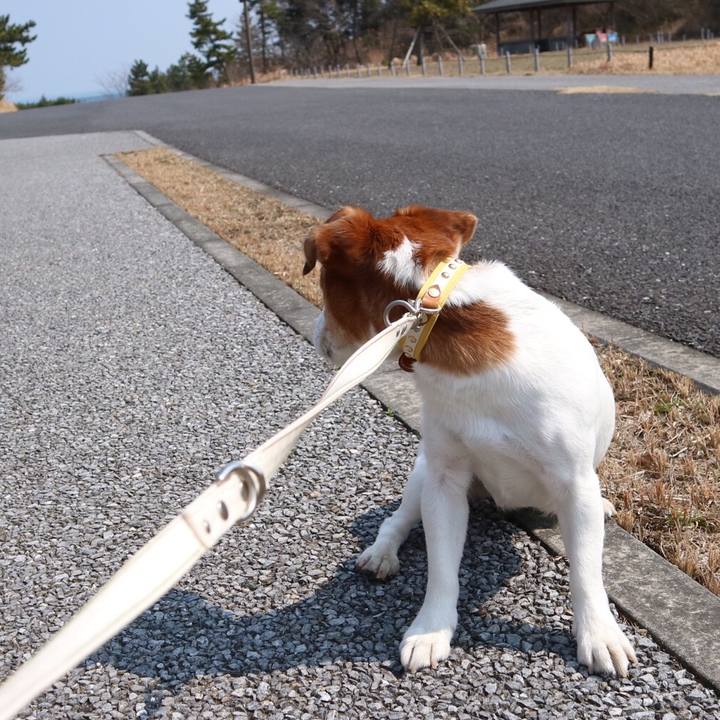 1d93dde8 89c1 4628 a01d f4be112a2fb4