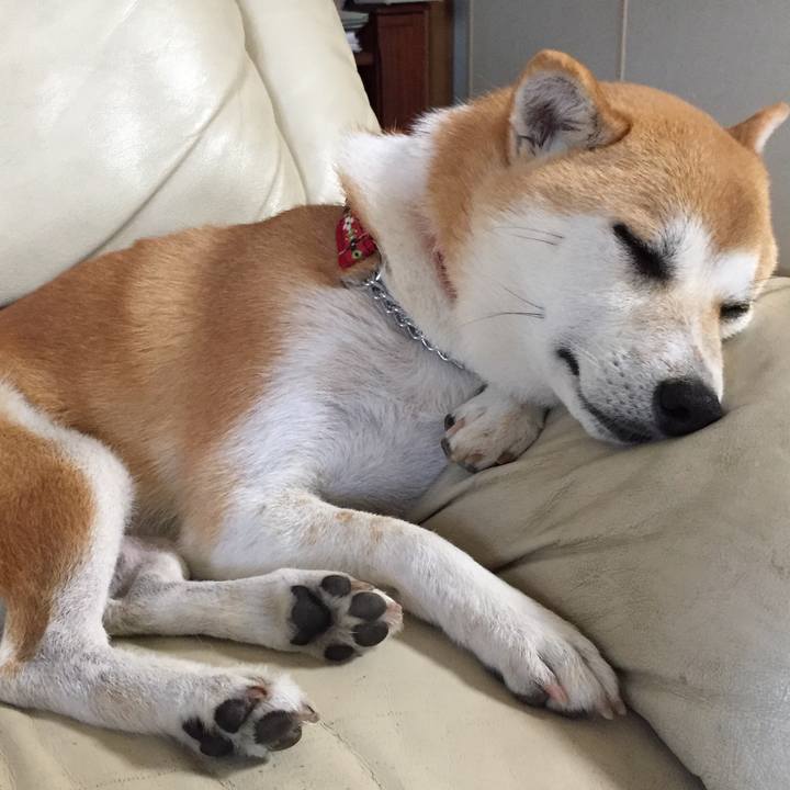 1d93e889 39fb 4fa7 941c 0ba28dbcb486