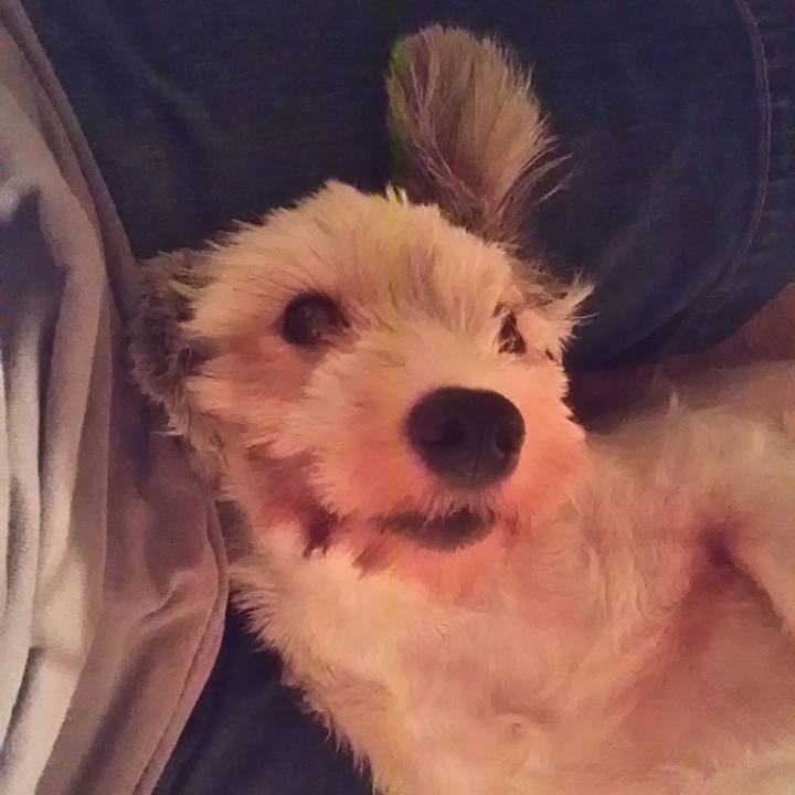 1d942a47 0f6c 4784 8e77 41984505b4c1