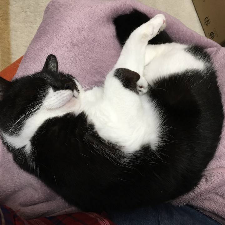 1d9437b0 7b3e 484a a2c6 dc0beac2e54f