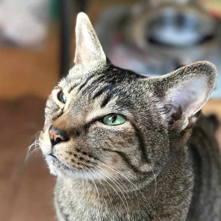 1d9512cd ead9 42eb b9de b7165f6bc880