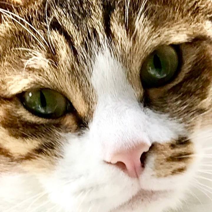 1d95c7e3 0adf 4b87 bad9 d936dd44cdda