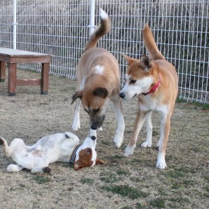 1d95e082 6ef1 4c77 a08f a56330f28ce8