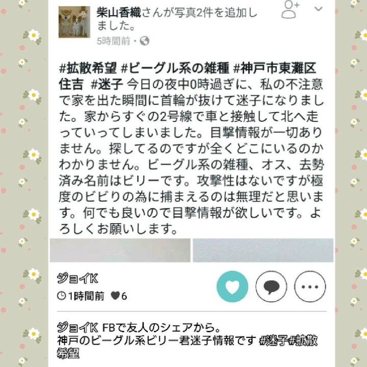 1d96b361 67bb 4748 89c7 b4f9b4c710ef