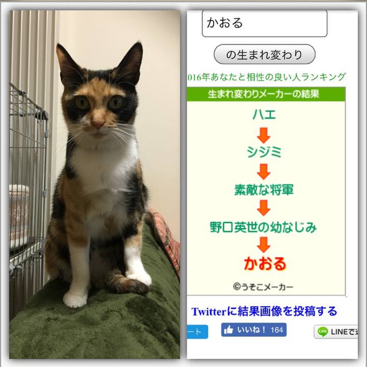 1d97233f a6d6 4d98 aca6 14b698fba091