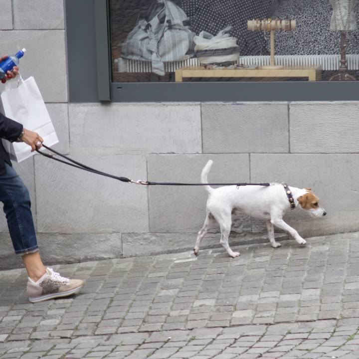 1d97ae7b 9690 4267 b882 315bd7a8839f