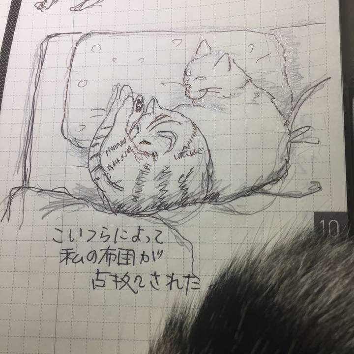 1d986332 0e81 49d6 a7a1 8dce8b3be708