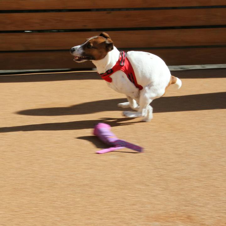 1d98c47b 74a3 452a 8e6c ae595d635685