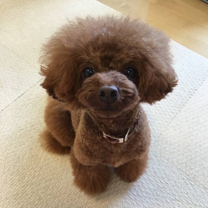 1d98fe8b 0ff1 47af 9a21 1ba79d6636d4