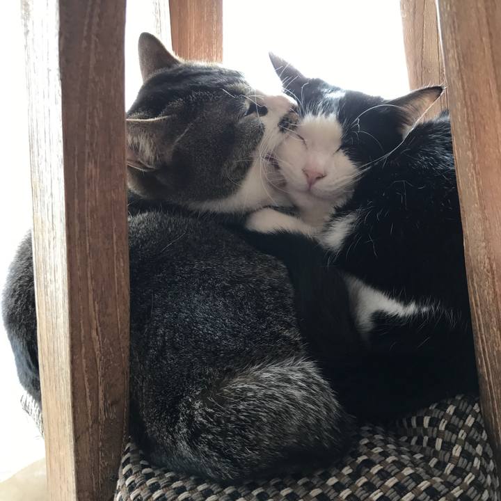 1d995af8 a068 4080 a673 2bcf4bd82ec2