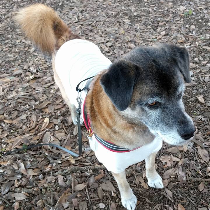 1d99a711 d4c5 415d 9c4b 5cb7b0c0bb73