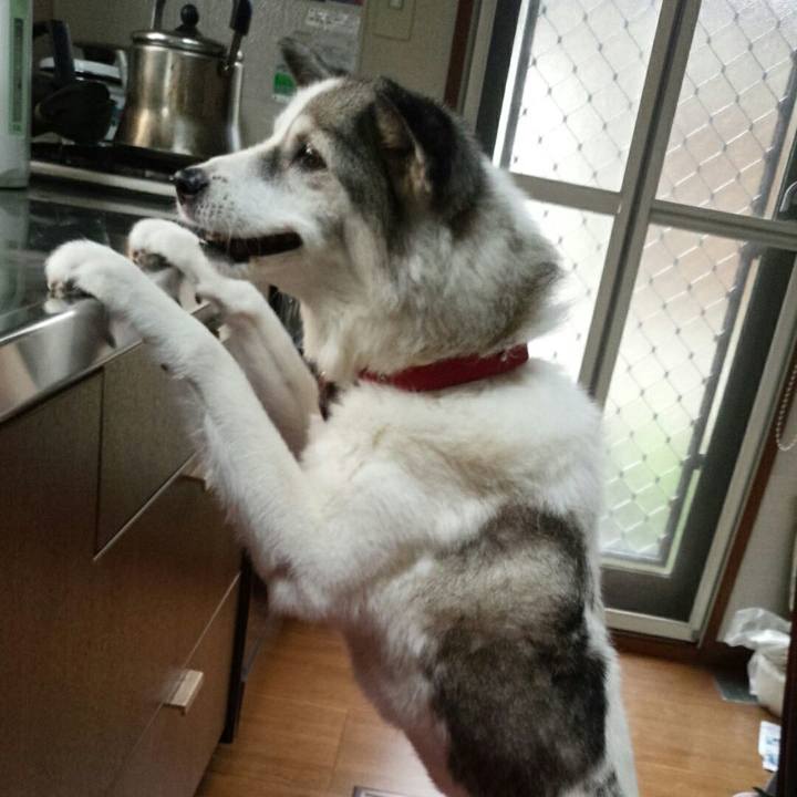 1d99d482 4ef6 4d45 b8c6 790cc57e897e