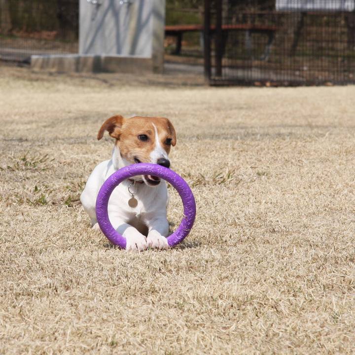 1d99f15b d1f8 462b bf7a d0ba19dff098