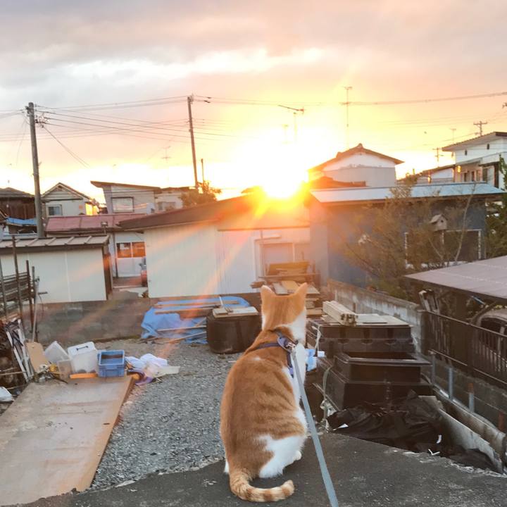 1d9a004b 6594 4a80 9281 2a9e39ffd462