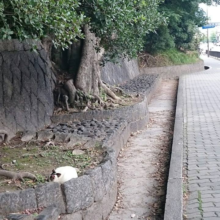 1d9a3706 7a3b 4156 b000 13b68f5e0f46