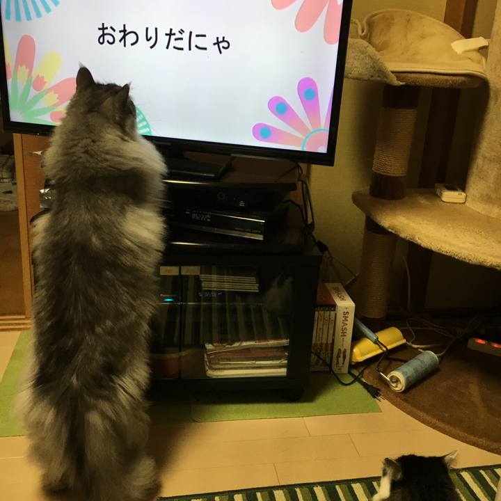 1d9a4cff 89ee 4743 a889 2dfe3c2fb85d