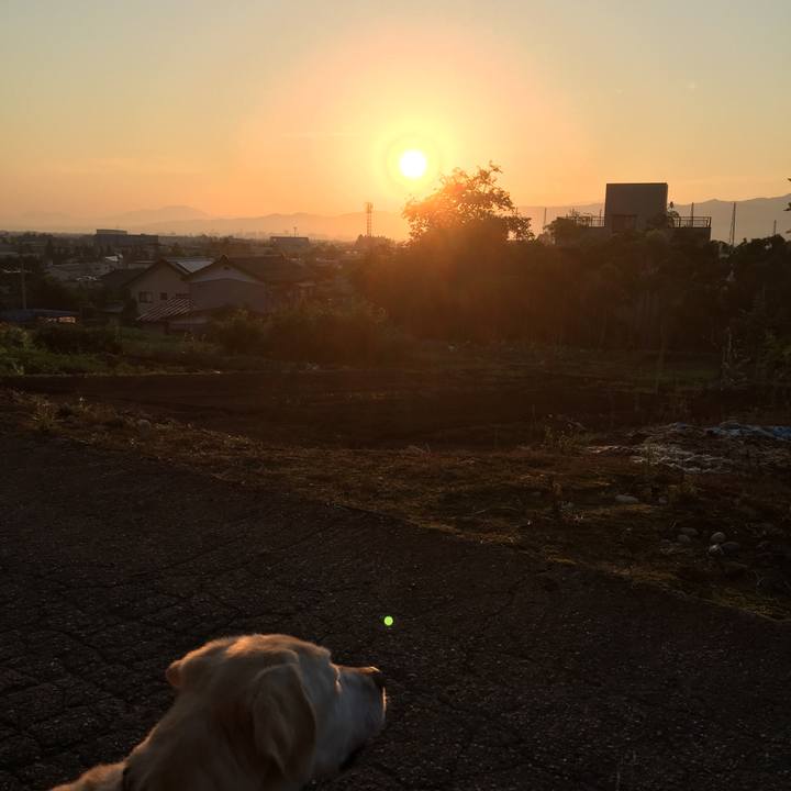 1d9a6ffa 3e0c 49fd 9b96 0911f12c052f