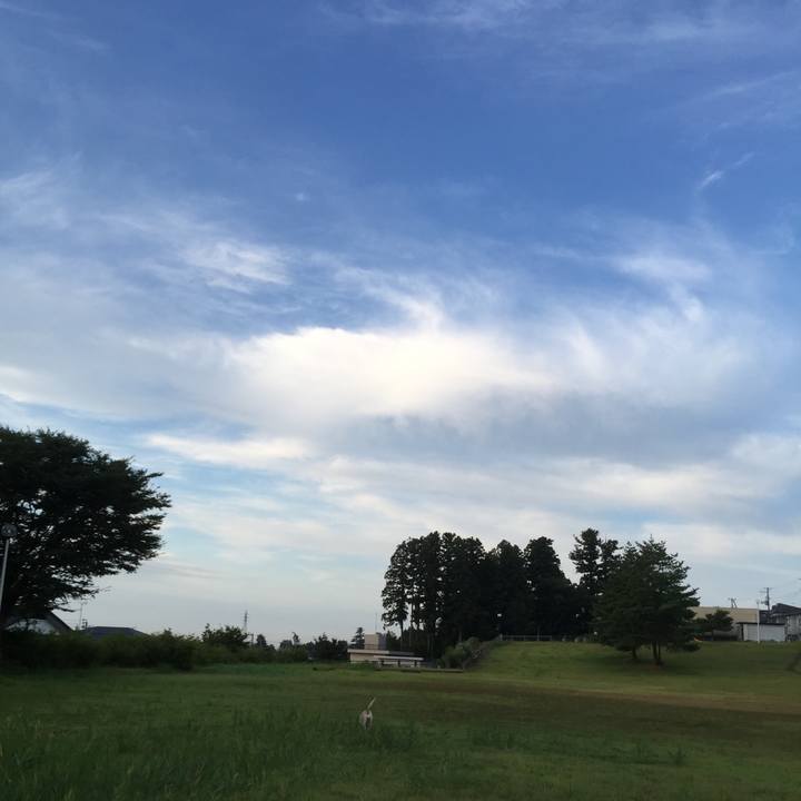 1d9aa616 e7f8 4f05 bb15 5e69a9341a73