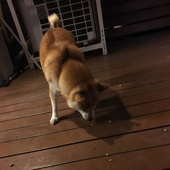 1d9ab0ee 762f 4c85 90a1 3d3a5e2d8132