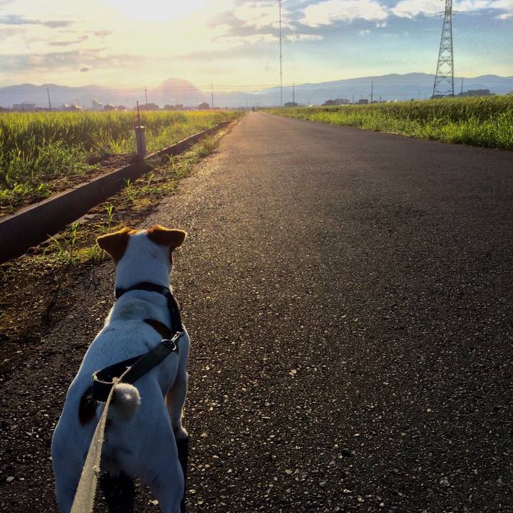 1d9b000e 6ad9 49b5 ac59 046a9ff00243