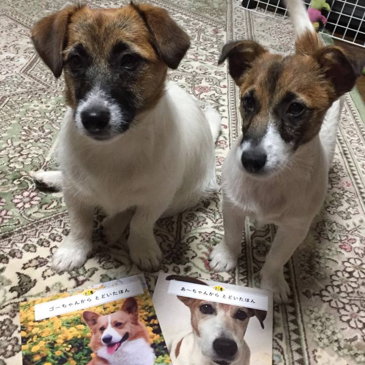 1d9b7657 8a47 4eac b378 d59273038ca6