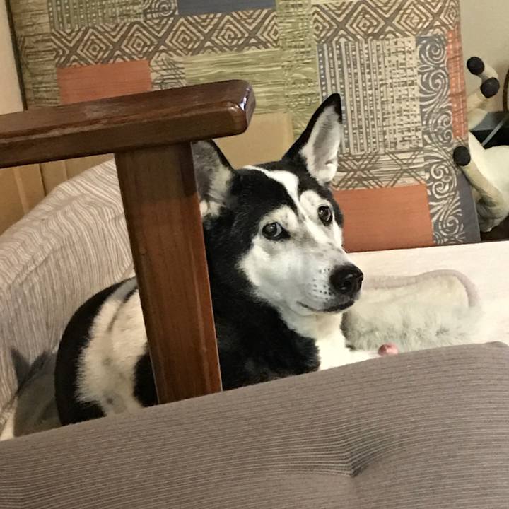 1d9b7bdf 0c73 4f28 96a7 3dea246d565c