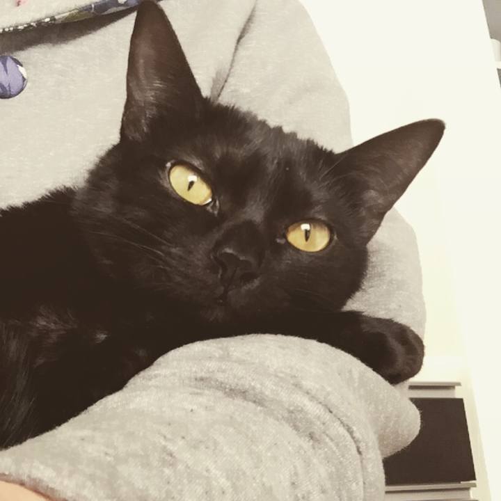 1d9bdb45 12e8 4f03 901d adcb1a010d90