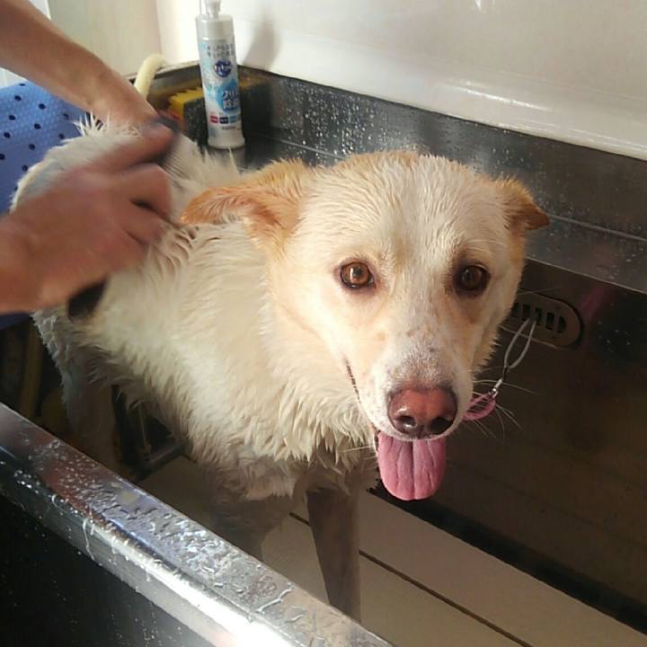 1d9c999f 04c3 4f4c b432 bea990841ddf