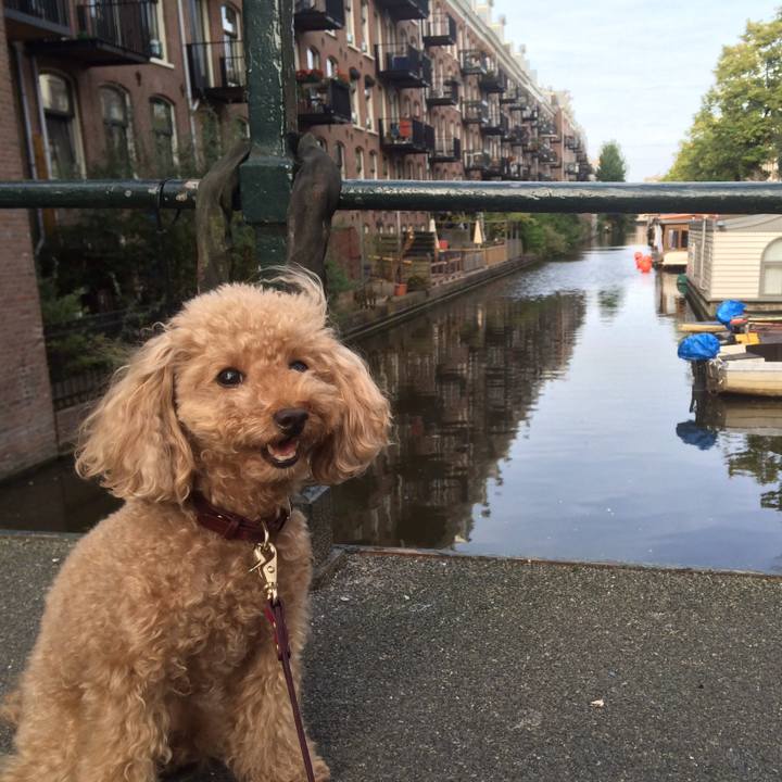 1d9d1b2e 7773 4aae 9a5f 7c27140e44aa