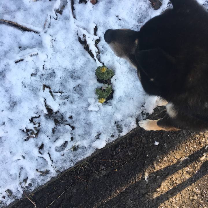 1d9d2b54 59a2 482d 9ec5 b5d6b44ab36d