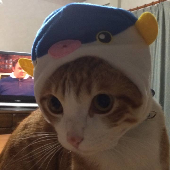 1d9eb866 5263 4a8a 97aa e41e25dbdc5a